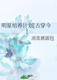 明星培养计划[古穿今]