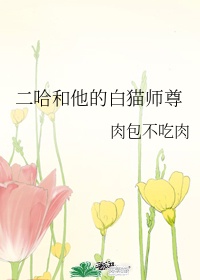 二哈和他的白猫师尊